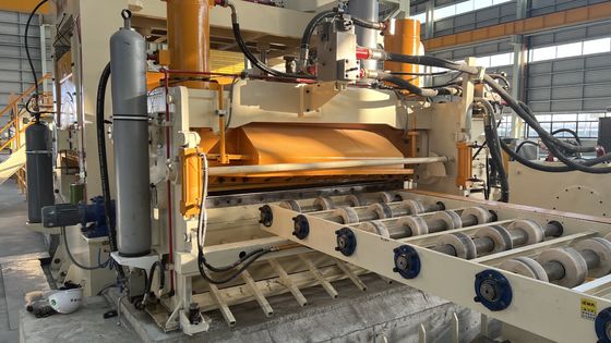 3 mm-12 mm-2000 mm dwarsgesneden bewegende scheerlijn voor het pickelen van warmgewalste stalen spoelen